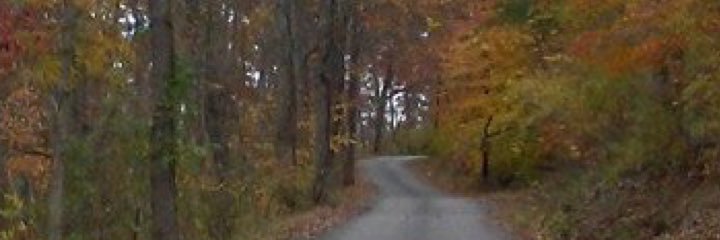 Dr. Gritty, PhD banner