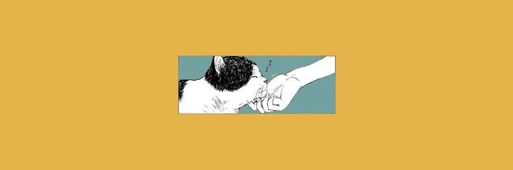 huda1_h's profile banner image