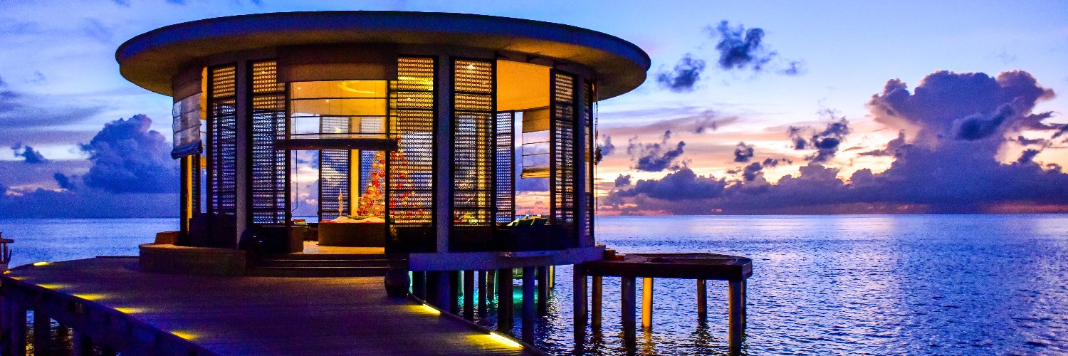 Crypto Dog Dad banner