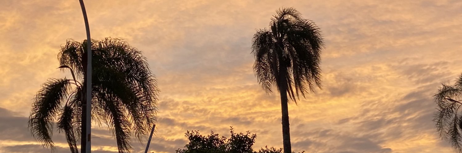 Ashycris's profile banner image