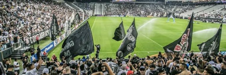 luidibacchin's profile banner image