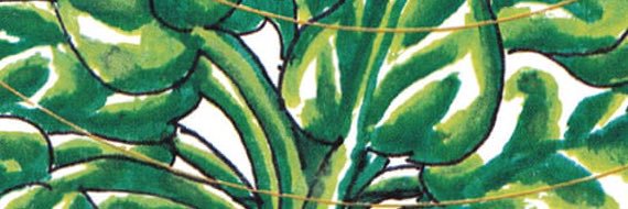 sarah 🌿 banner