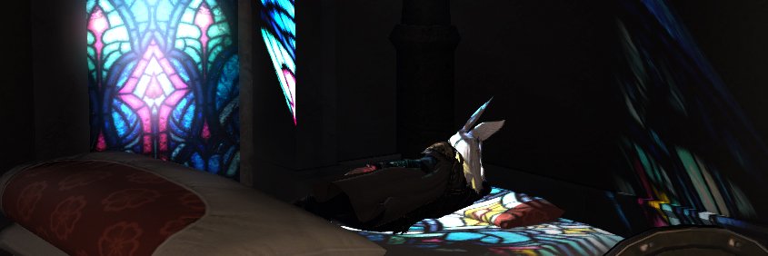 cat banner