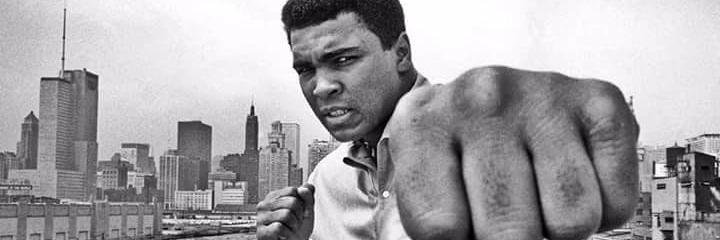 Habitual Linestepper® banner