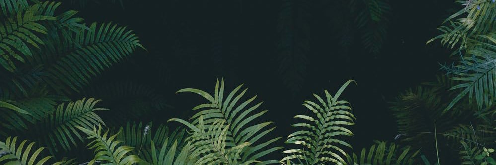 Aesir_eth's profile banner image