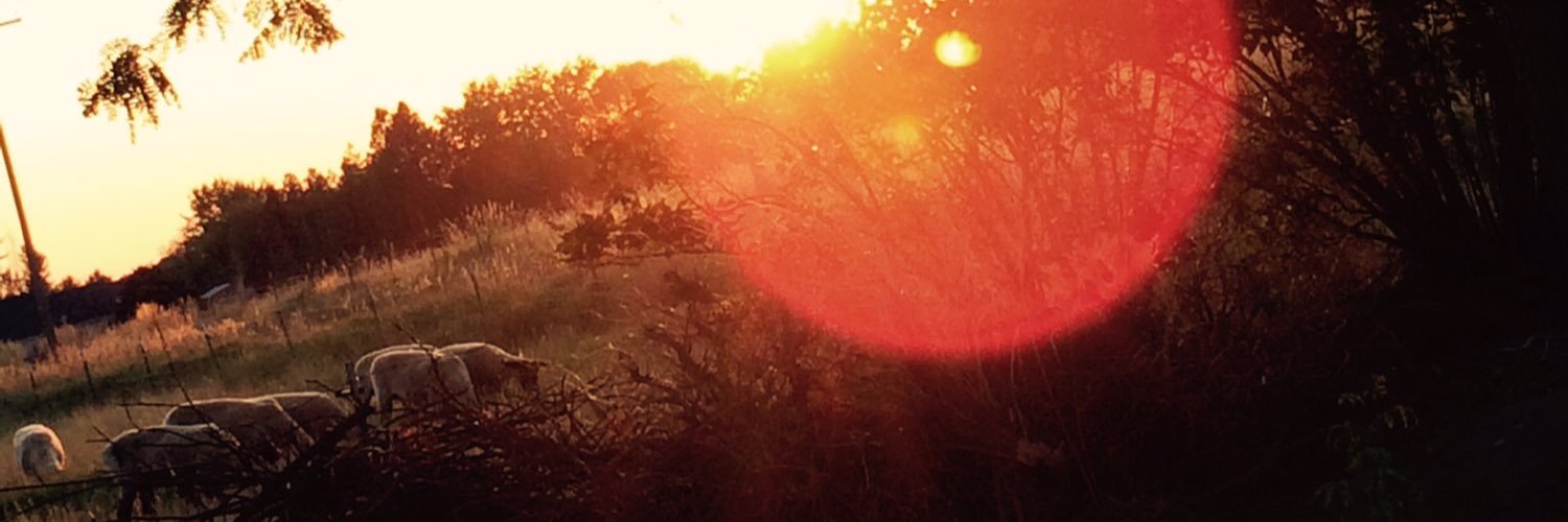 killa_kat__'s profile banner image
