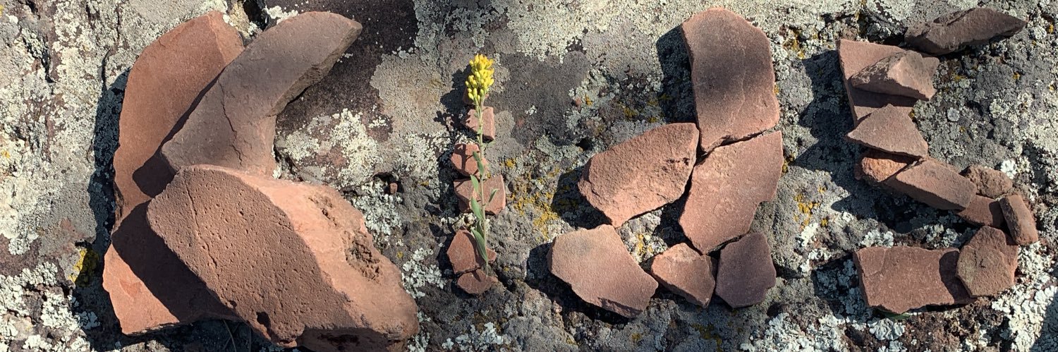 Dillon Whisman banner