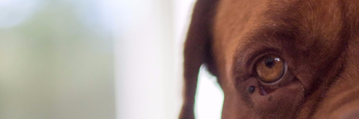 ayeuhhhh's profile banner image
