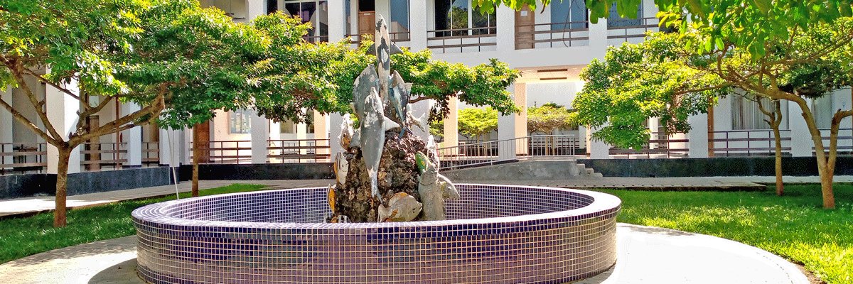 Institute of Marine Sciences, UDSM banner