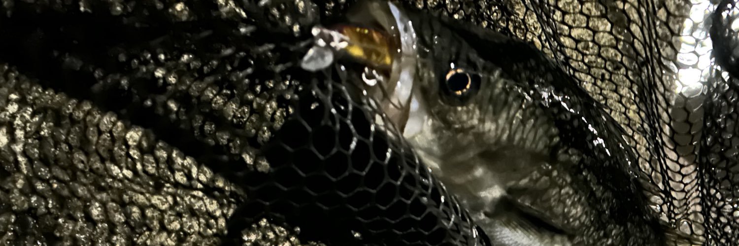 siwasu1226's profile banner image