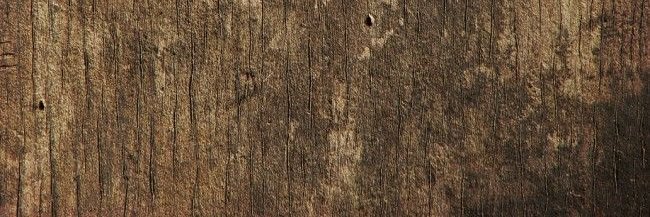 That Day In History banner