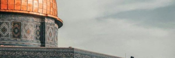 elx16_ Profile Banner