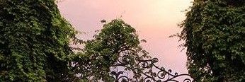 IfeelTheway's profile banner image