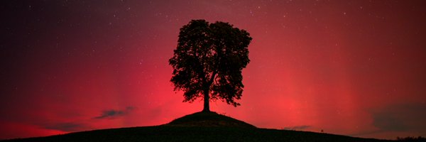 AlexisLinant63 Profile Banner