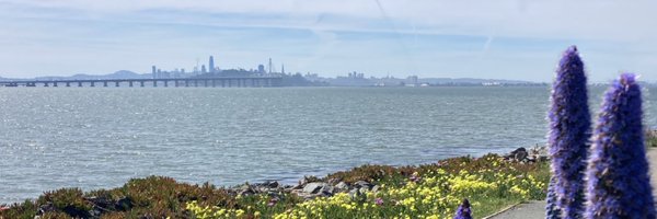 alissakmclean Profile Banner