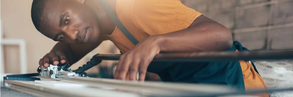 Einstein Rising banner