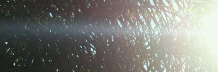 DeliaJrz's profile banner image