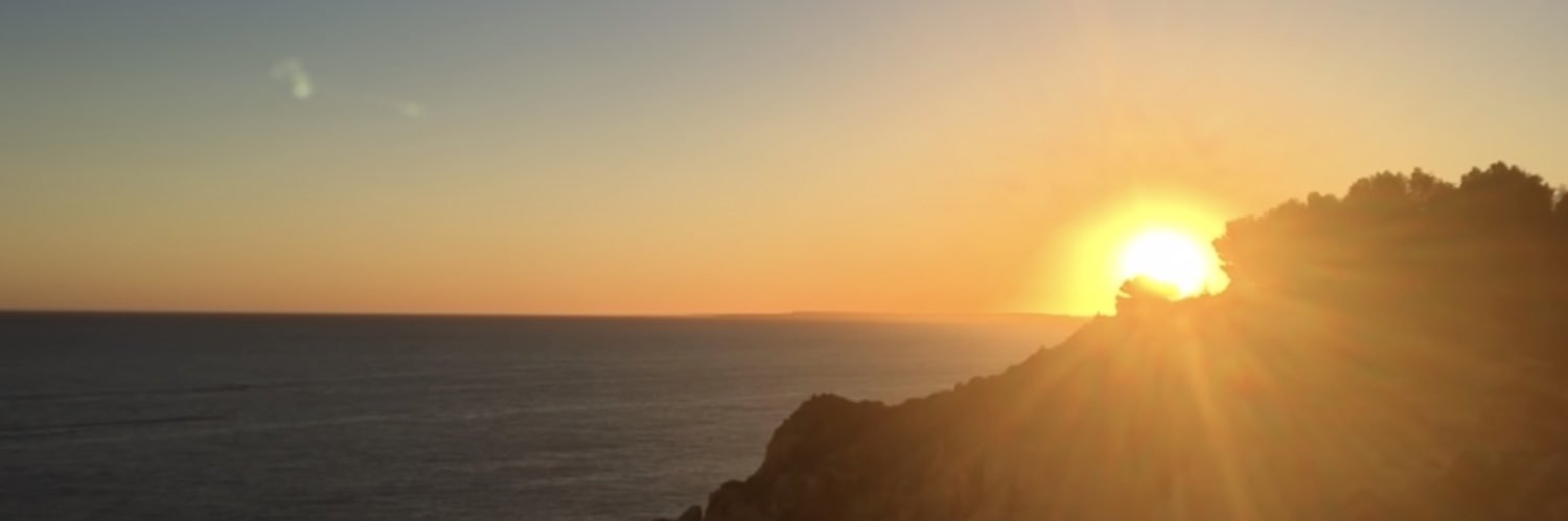 Dr Ashley Reece banner