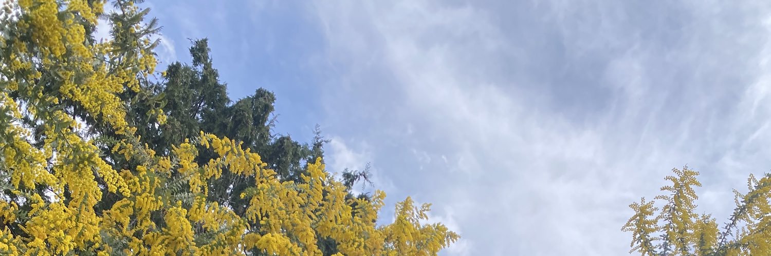 ha008800's profile banner image