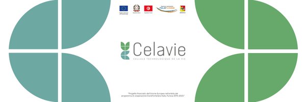 PCelavie Profile Banner