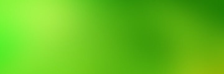 toady_hawk's profile banner image
