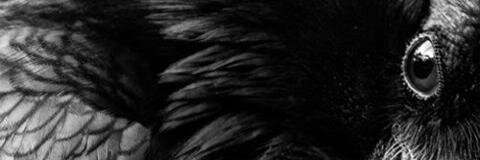 JSS banner