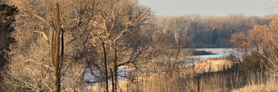 Ben Sasse's banner