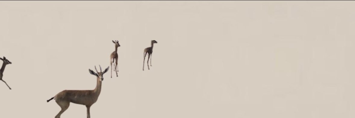 raei_15's profile banner image