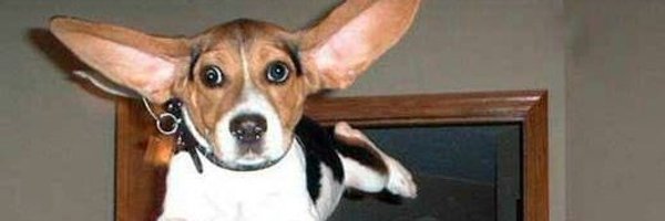 IsMikku Profile Banner