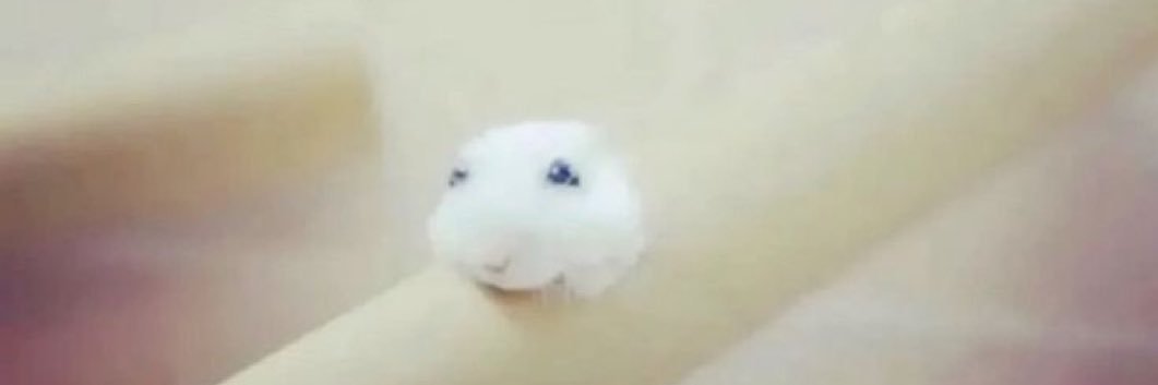 ❦ banner