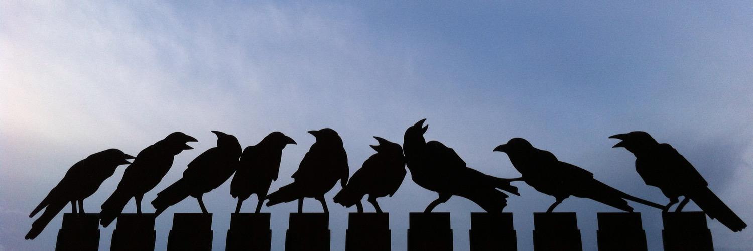 Fary 🔻🇵🇸 🇨🇺 💜 banner