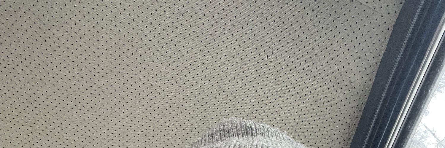 Mikhail Pshenichnikov banner