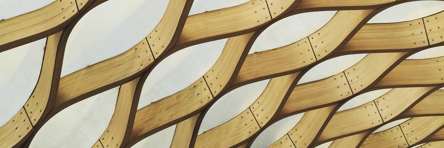 Carey Beuning banner