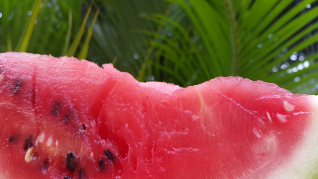 Désandan Mawon ⛏️ banner