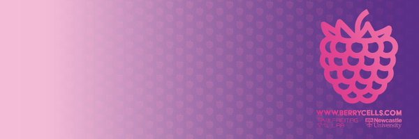 BerryCells Profile Banner