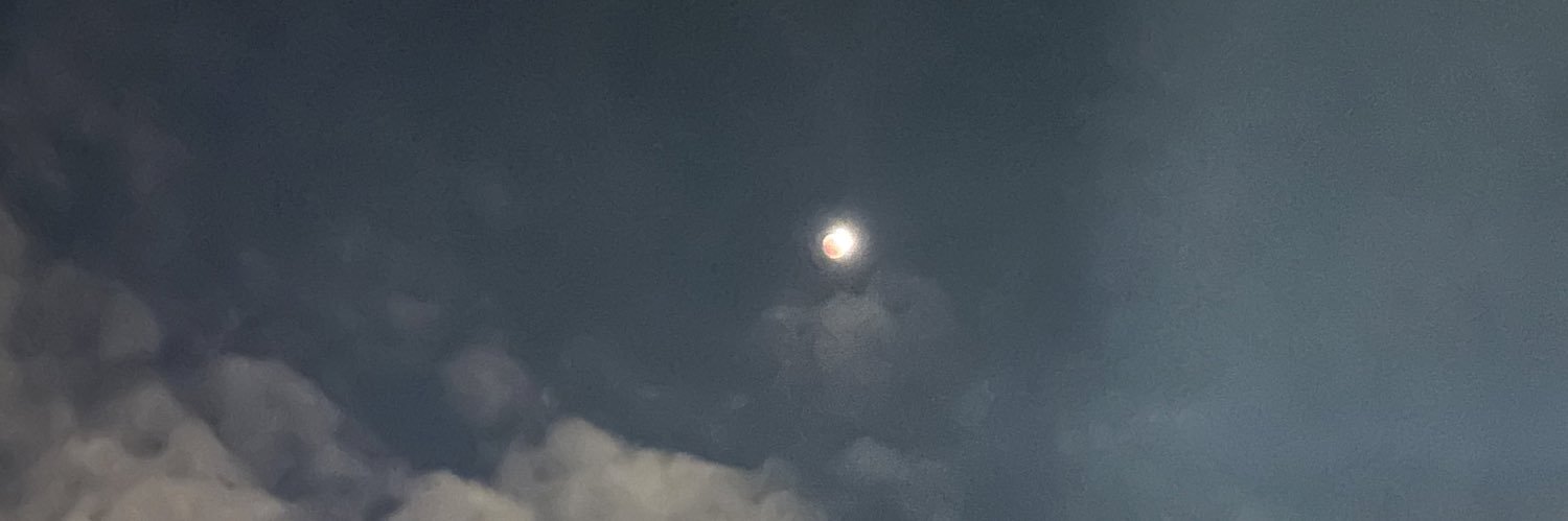 mnualexisbf's profile banner image