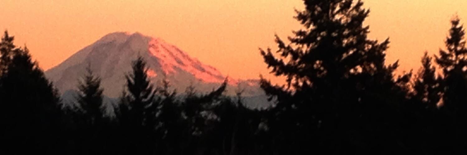 esringwald's profile banner image