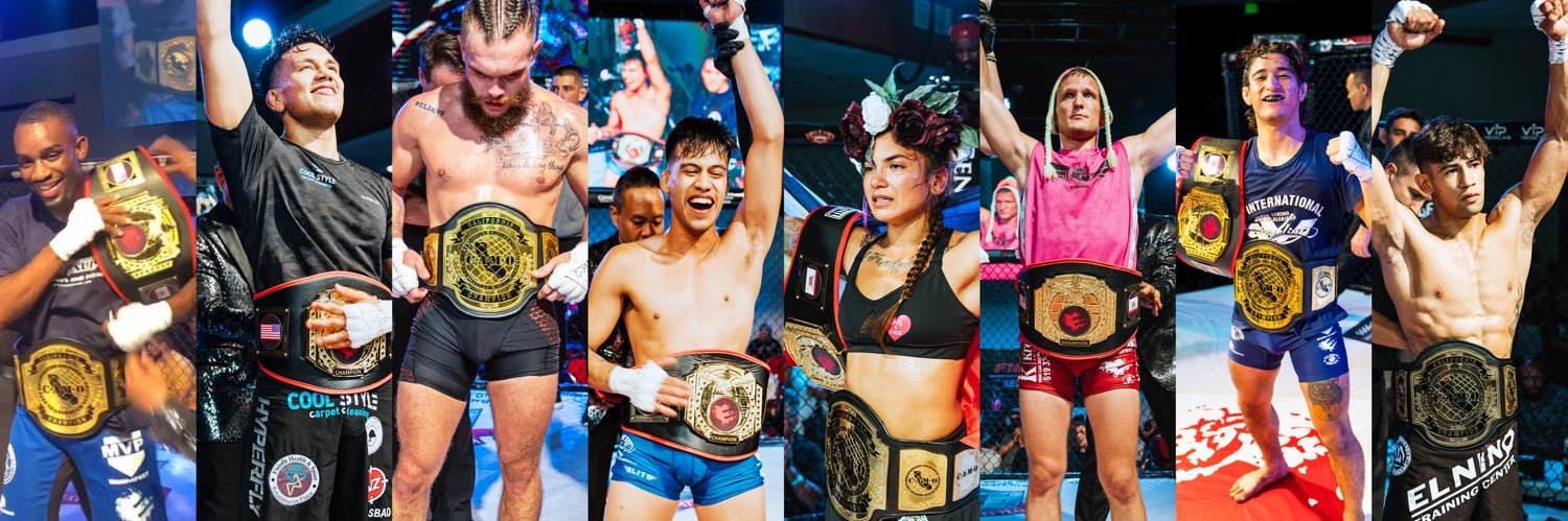 Epic Fighting banner