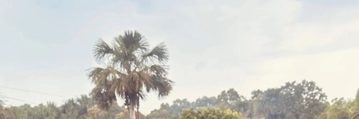 telescópio banner