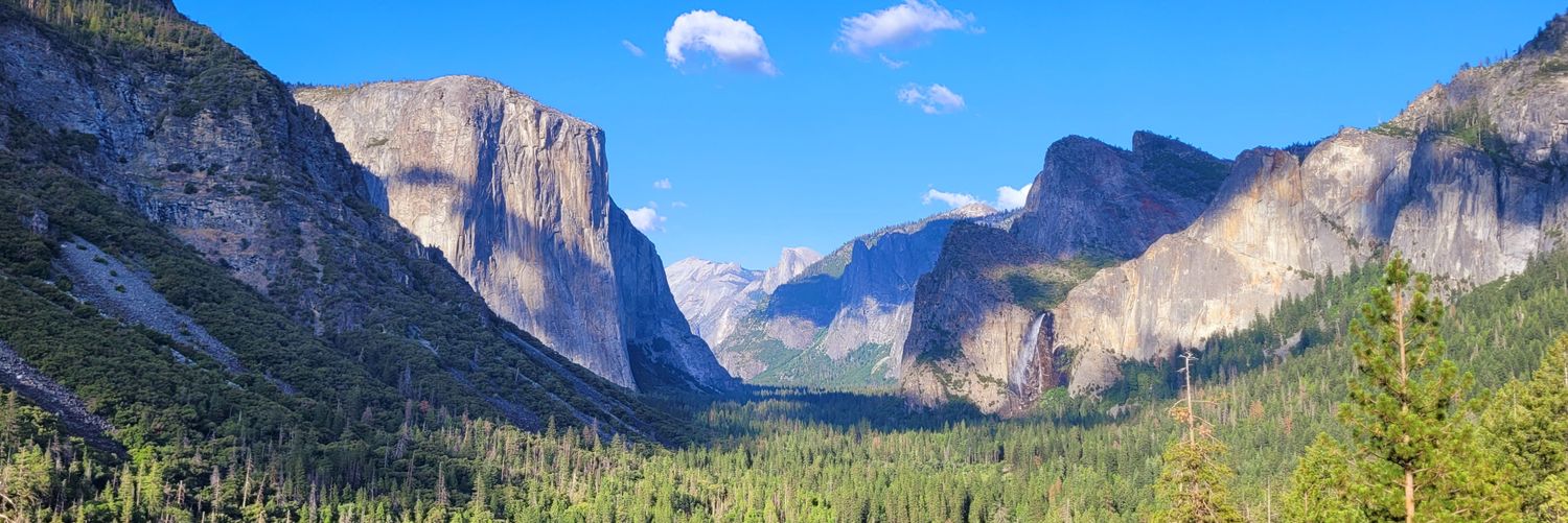 Albert Morera banner