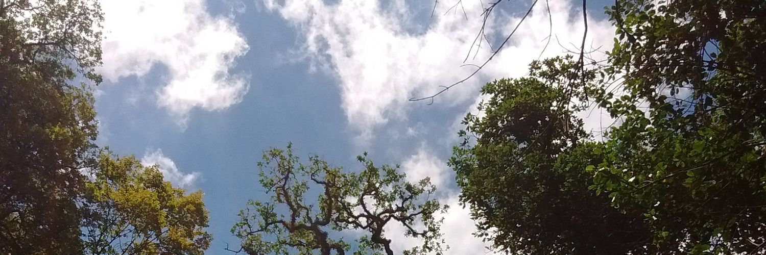VincenzzoGa's profile banner image