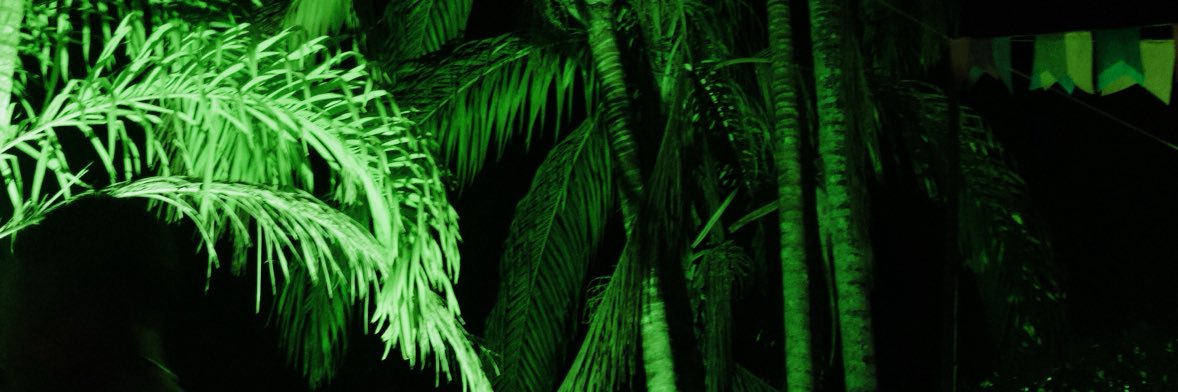 kevelinch's profile banner image