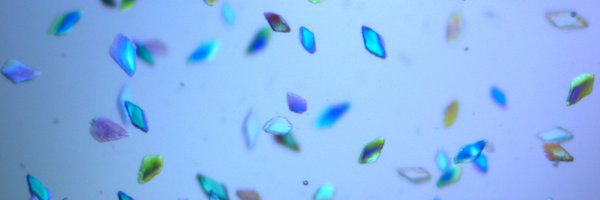 biophyskrys Profile Banner