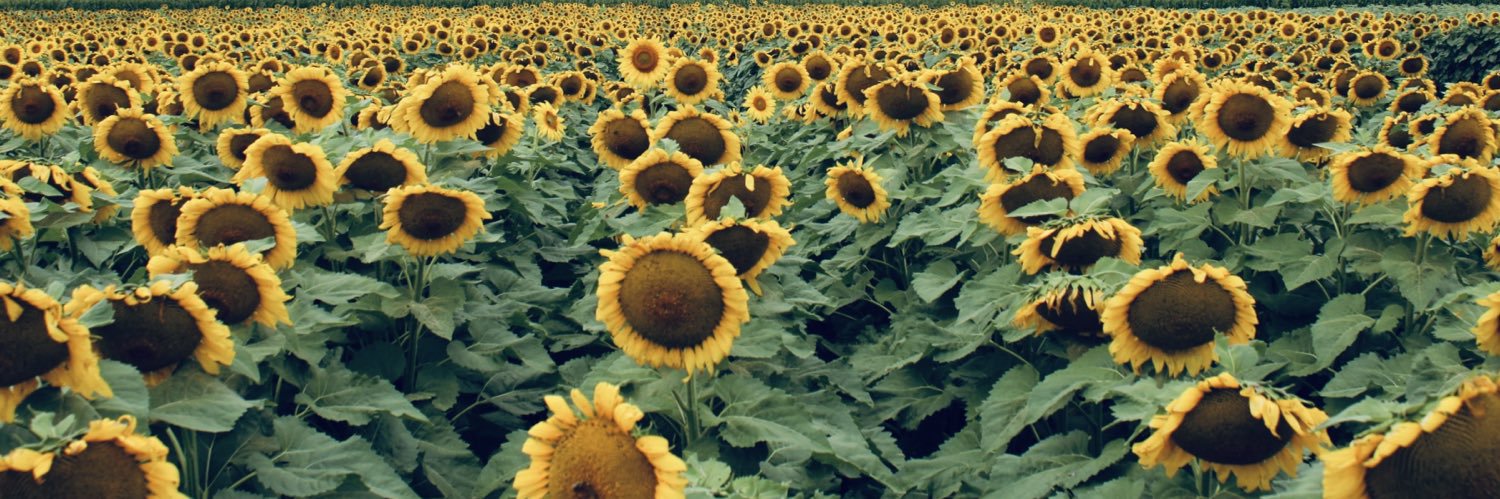 Christie Milen banner