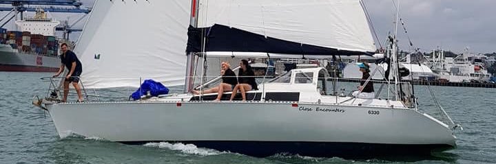 Stephen Plank banner