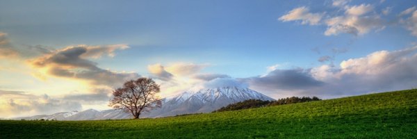 HamidRachef Profile Banner
