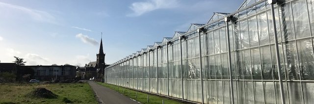 WaltherBurgerin's profile banner image