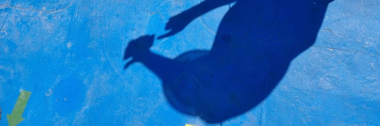 gafty⚡️trust in MultiversX (formly Elrond) ⚡️ banner