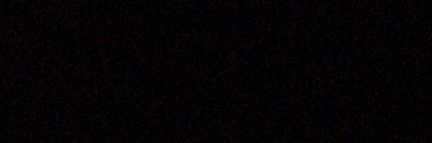 THE BIG SAM🦉 banner