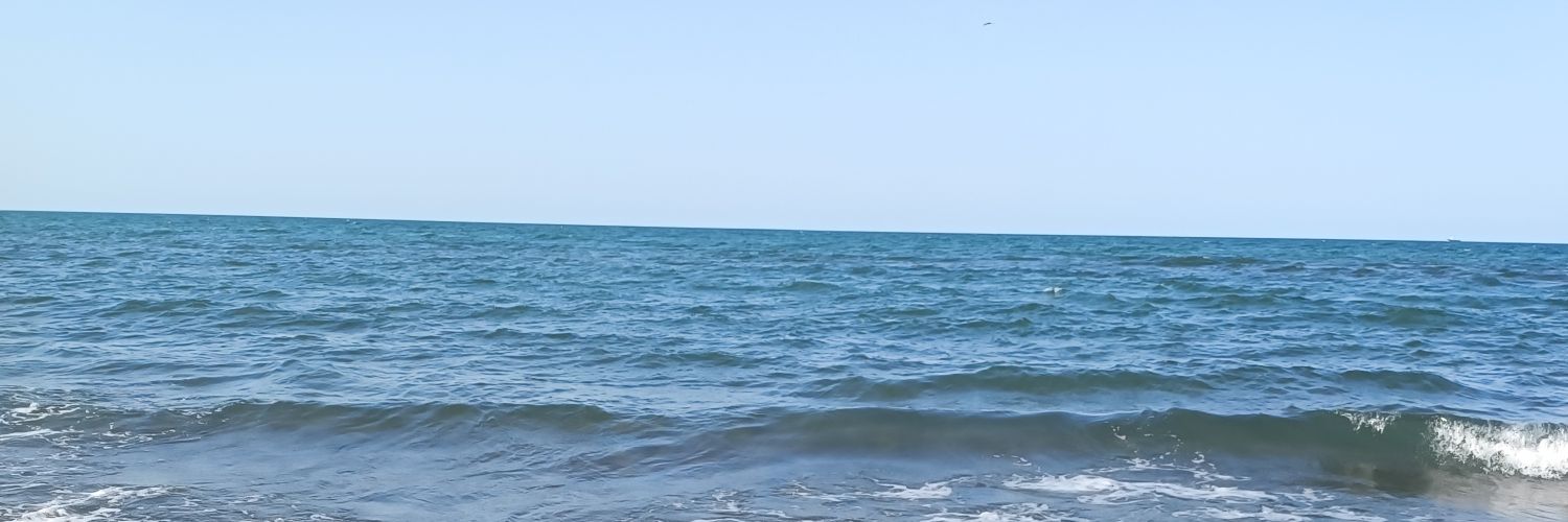 0xmohs3n(L3, ❄️)(💙,🧡)De.Fi STONE🐦‍⬛Tabi 🟧 banner